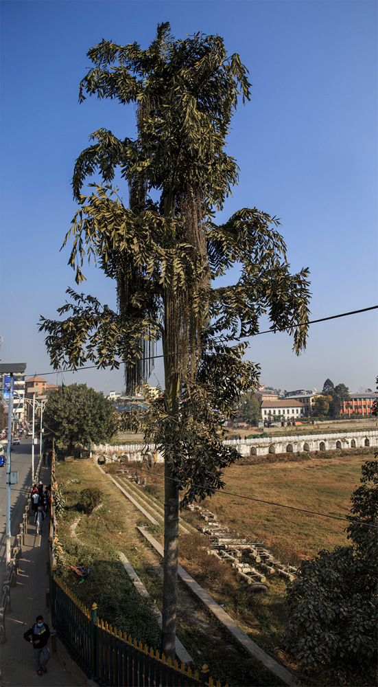  (Kathmandu).  .