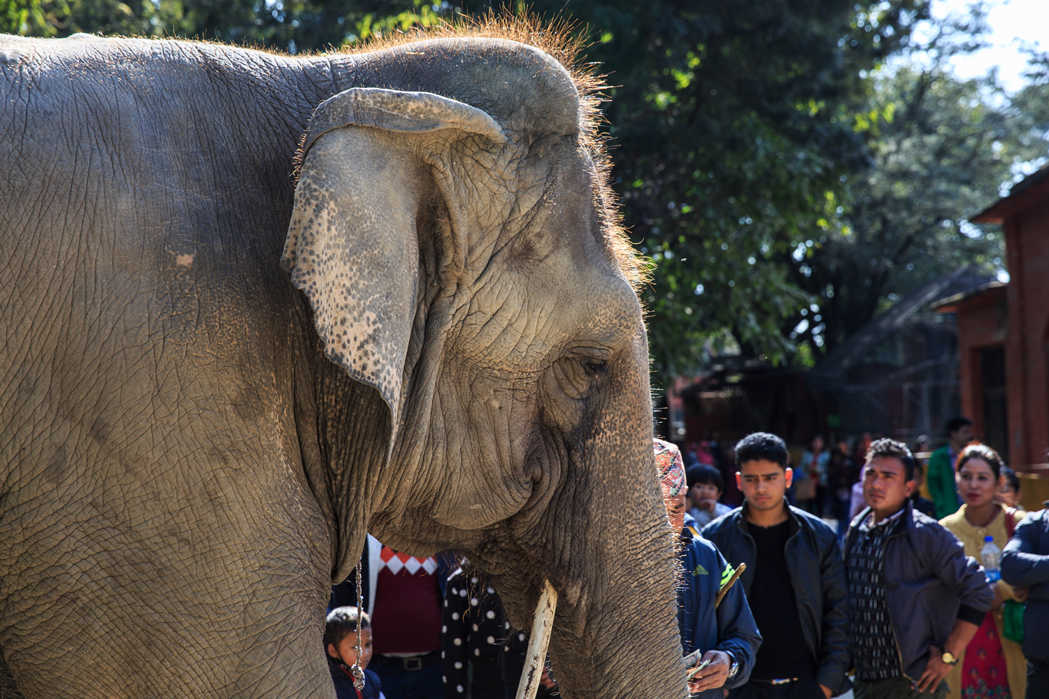  (Kathmandu). .   -   .