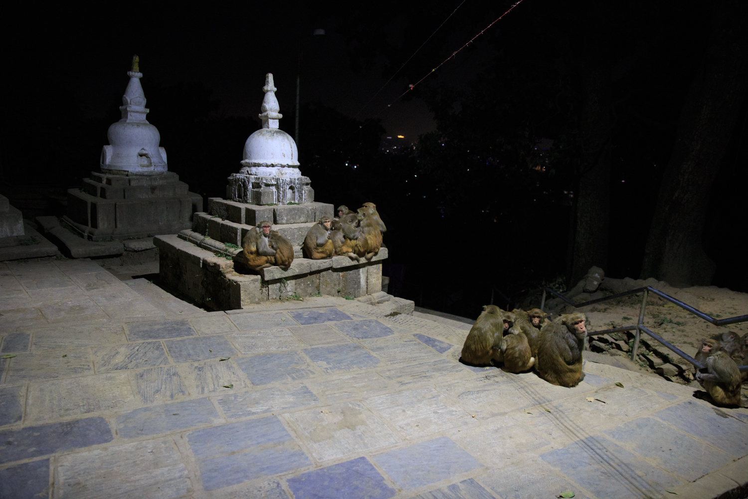  (Kathmandu).   -      (Swayambhunath).