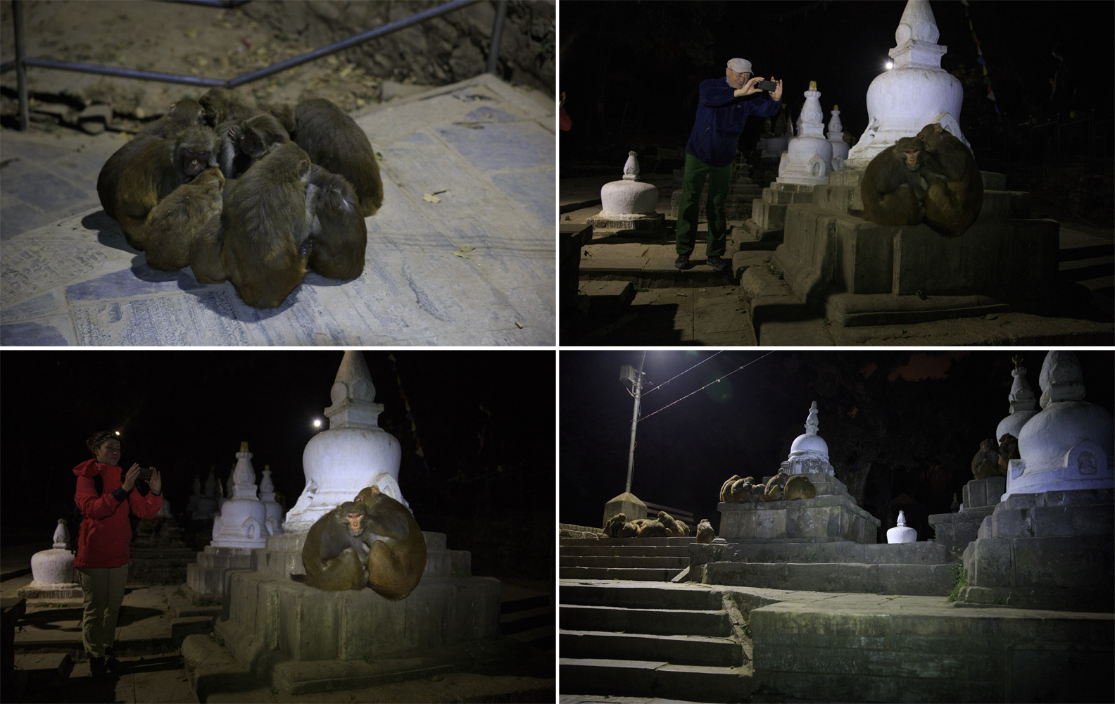  (Kathmandu).   (Swayambhunath).   .