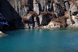     Longponga Tso     (Gokyo).